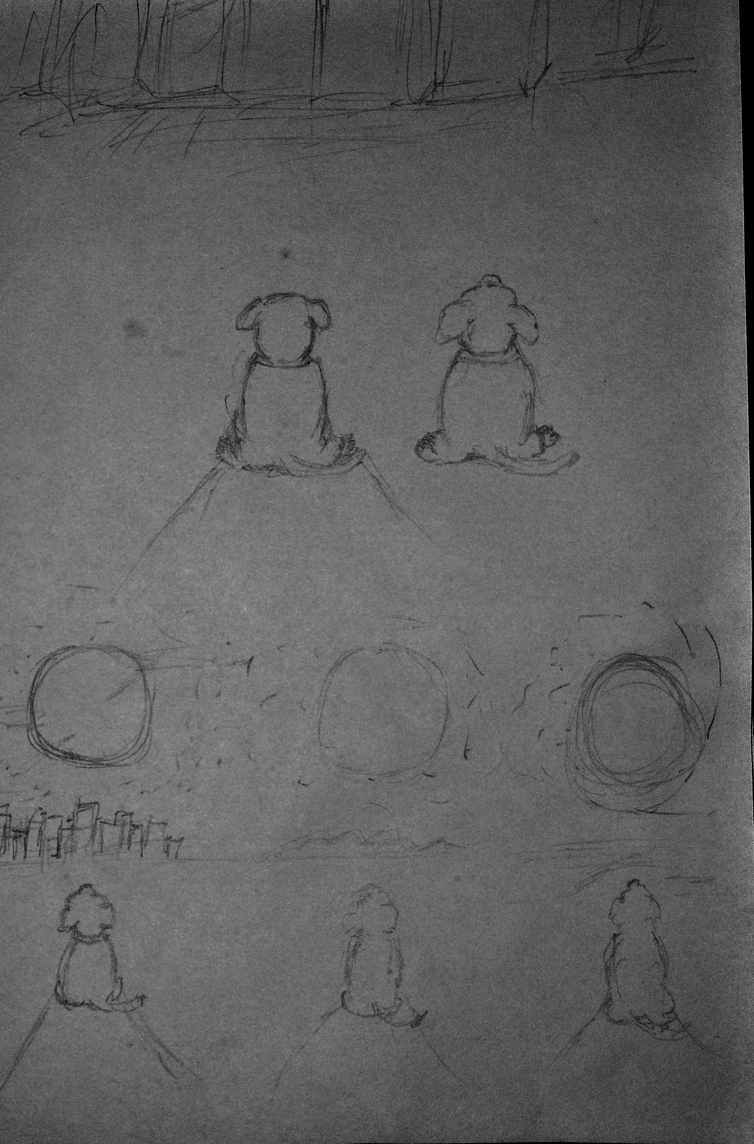 from a Dog's view - image 6 - student project