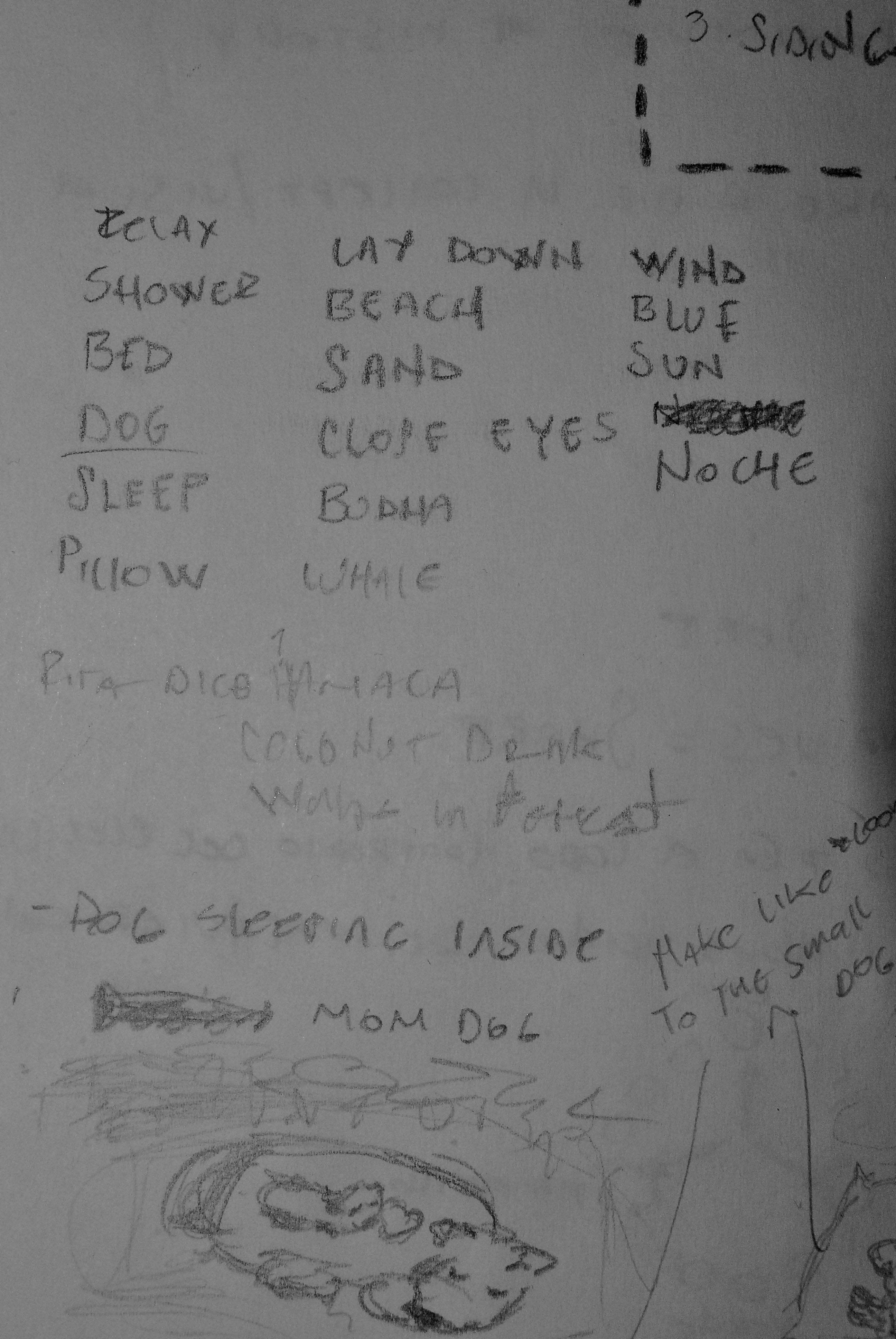 from a Dog's view - image 5 - student project