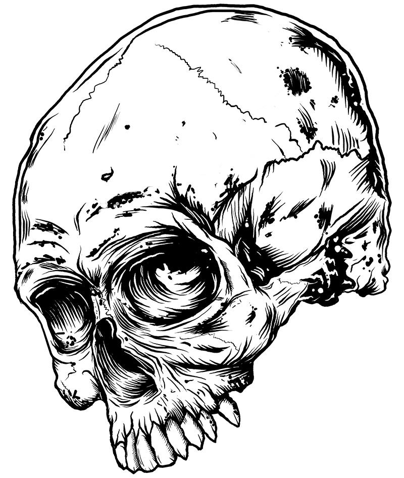 Skull - image 2 - student project