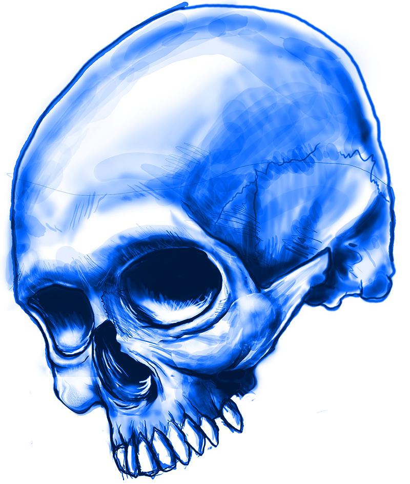 Skull - image 1 - student project