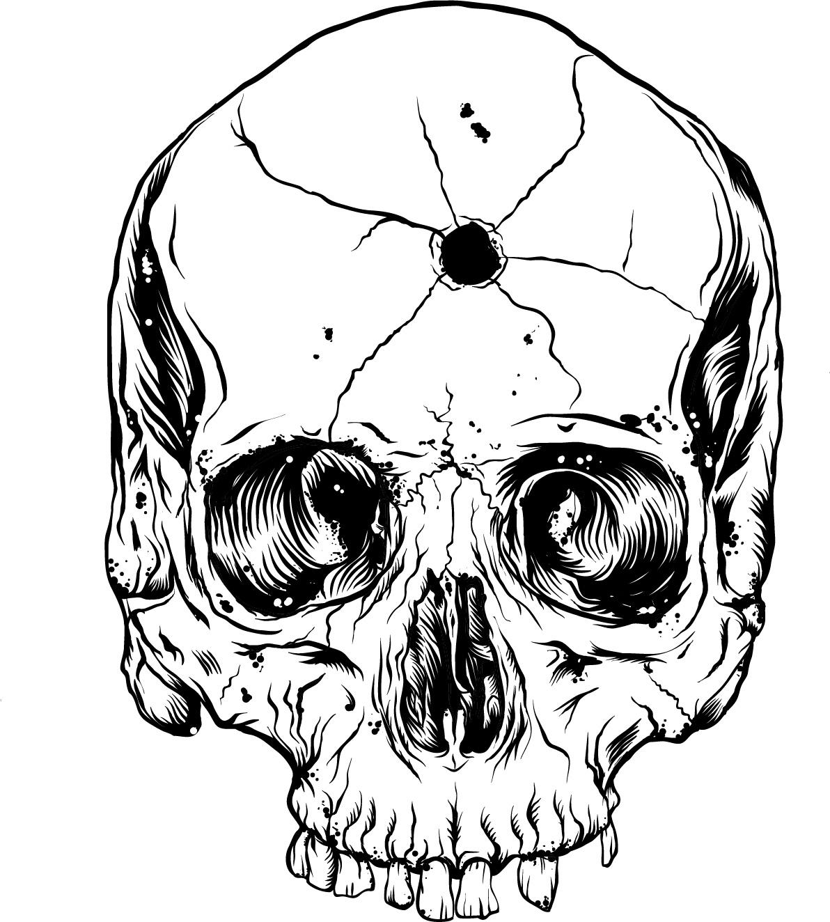 Skull - image 5 - student project