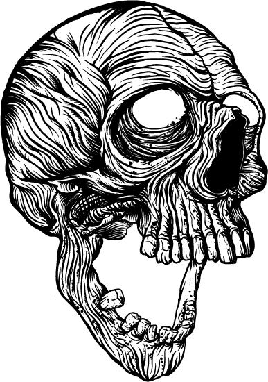Skull - image 8 - student project