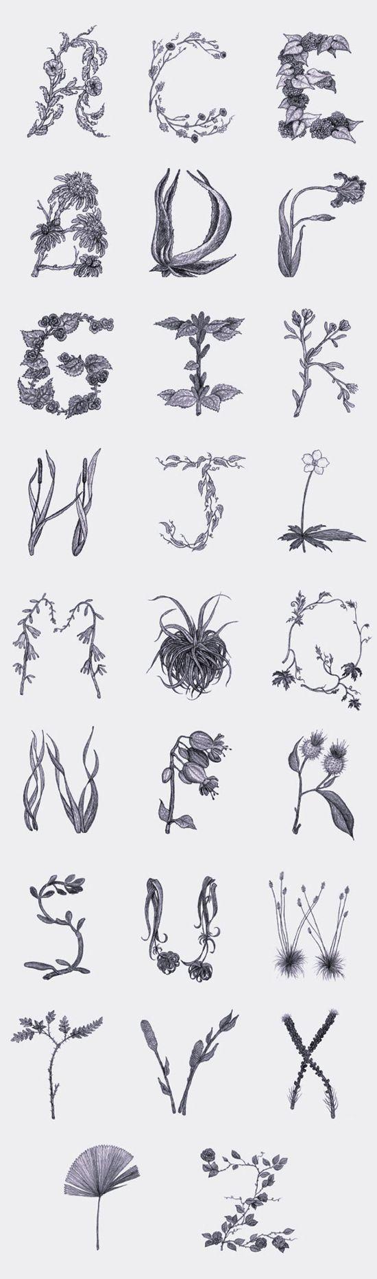 Prickly Type - image 1 - student project