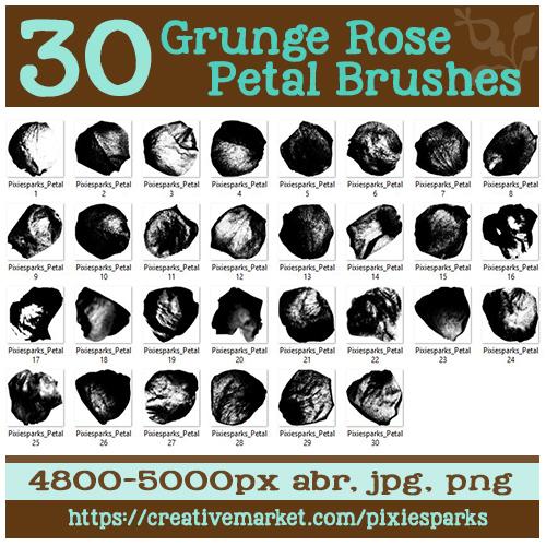 30 Grunge Rose Petal Brushes - image 1 - student project