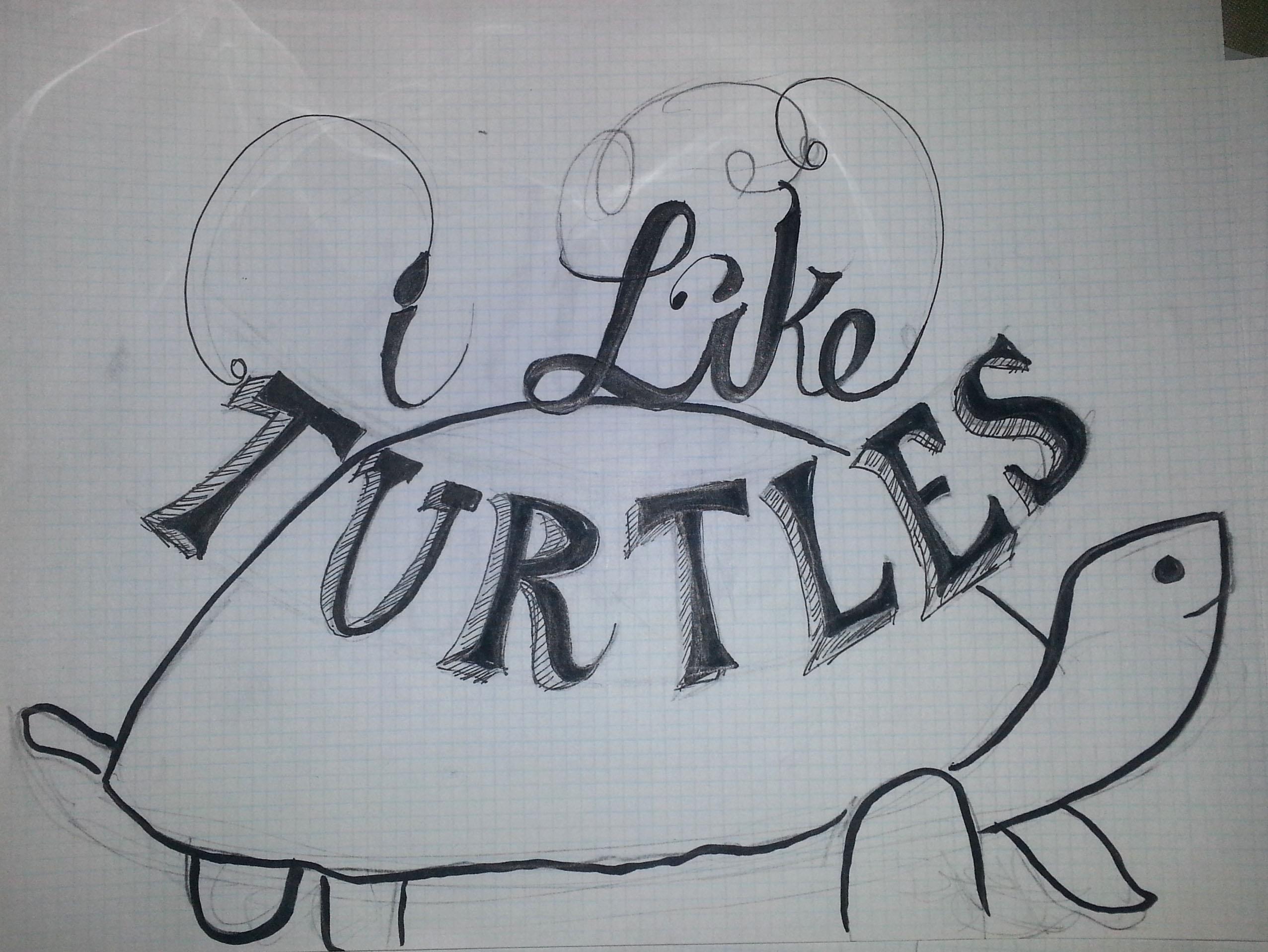 I like turtles - image 3 - student project