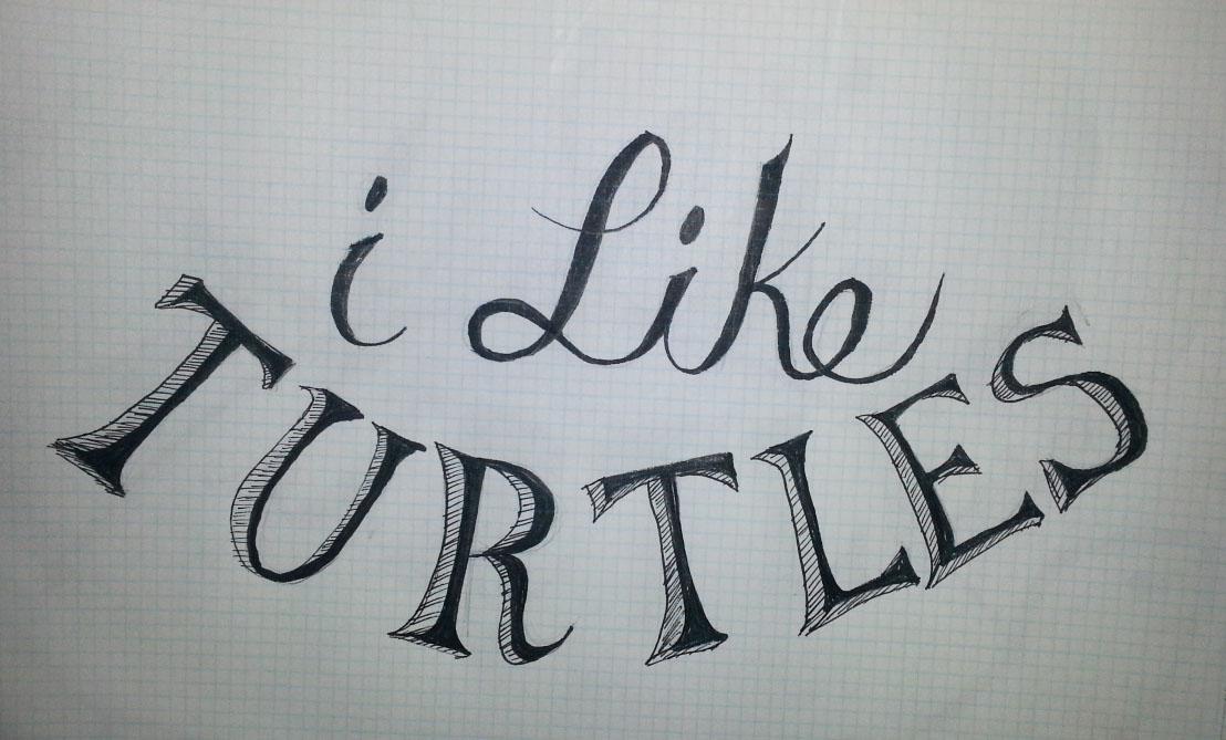 I like turtles - image 1 - student project