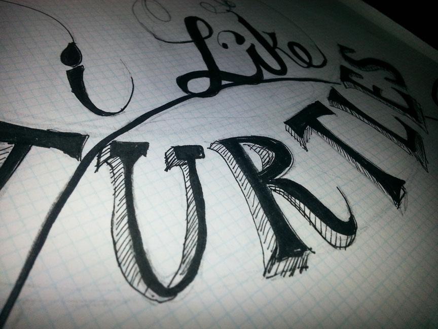 I like turtles - image 2 - student project