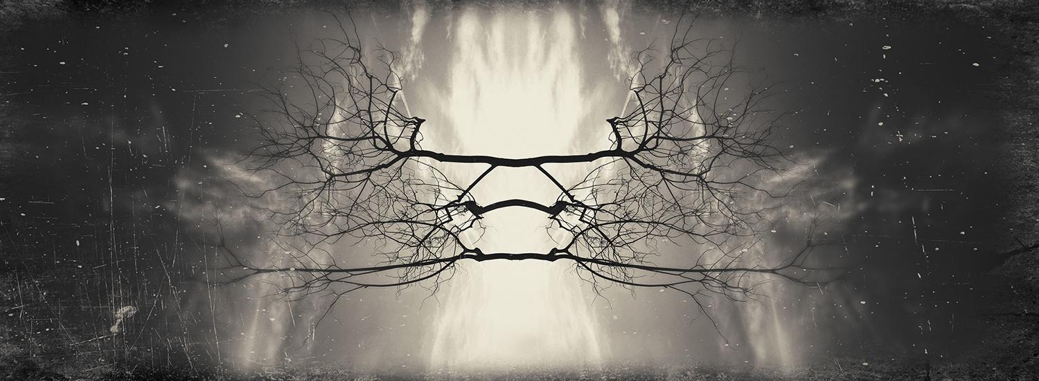 Modern Rorschach - image 10 - student project