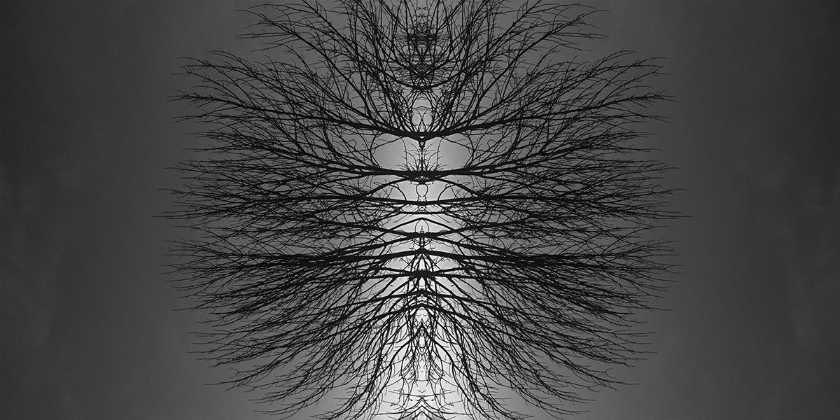 Modern Rorschach - image 4 - student project