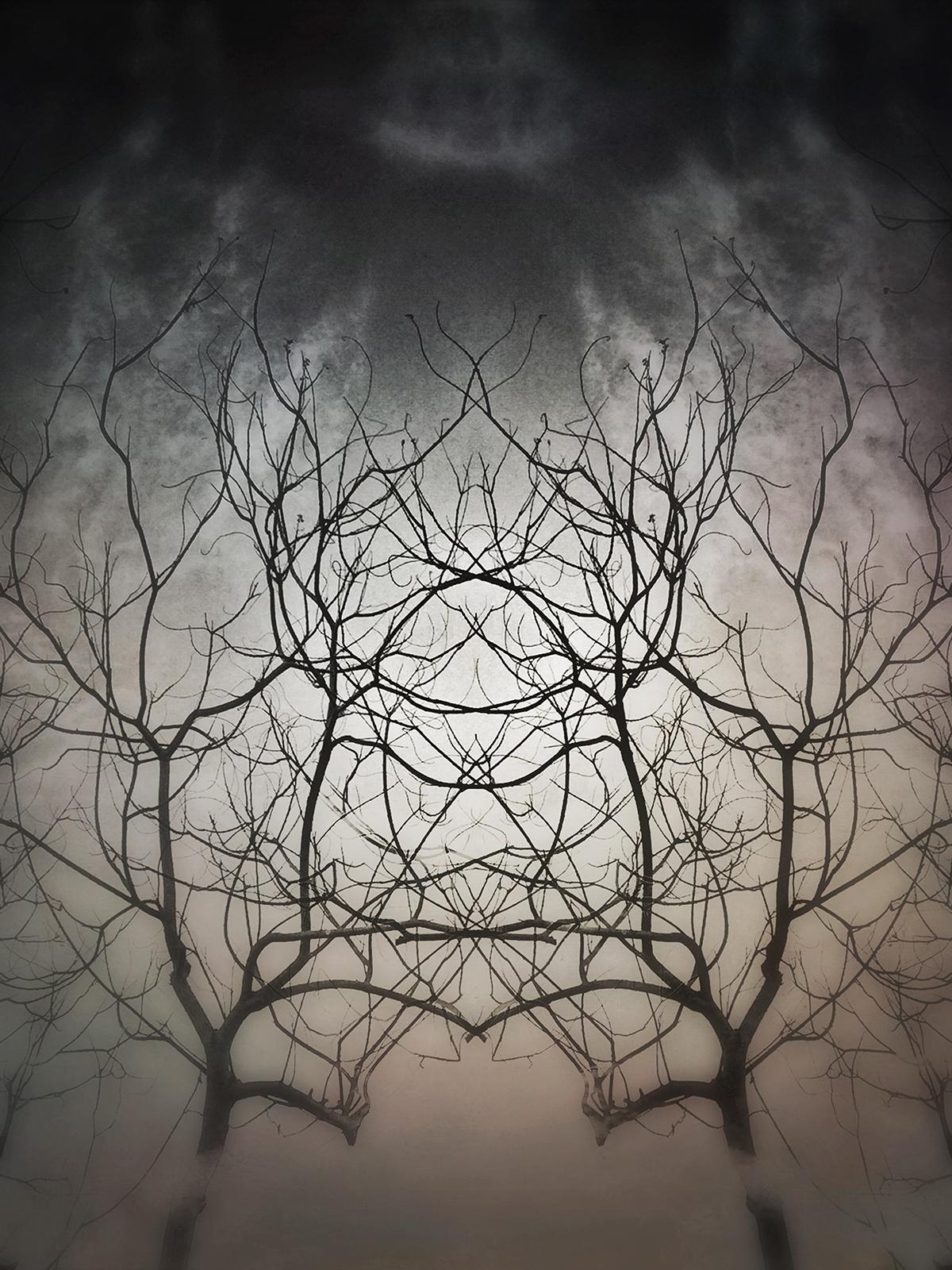 Modern Rorschach - image 5 - student project