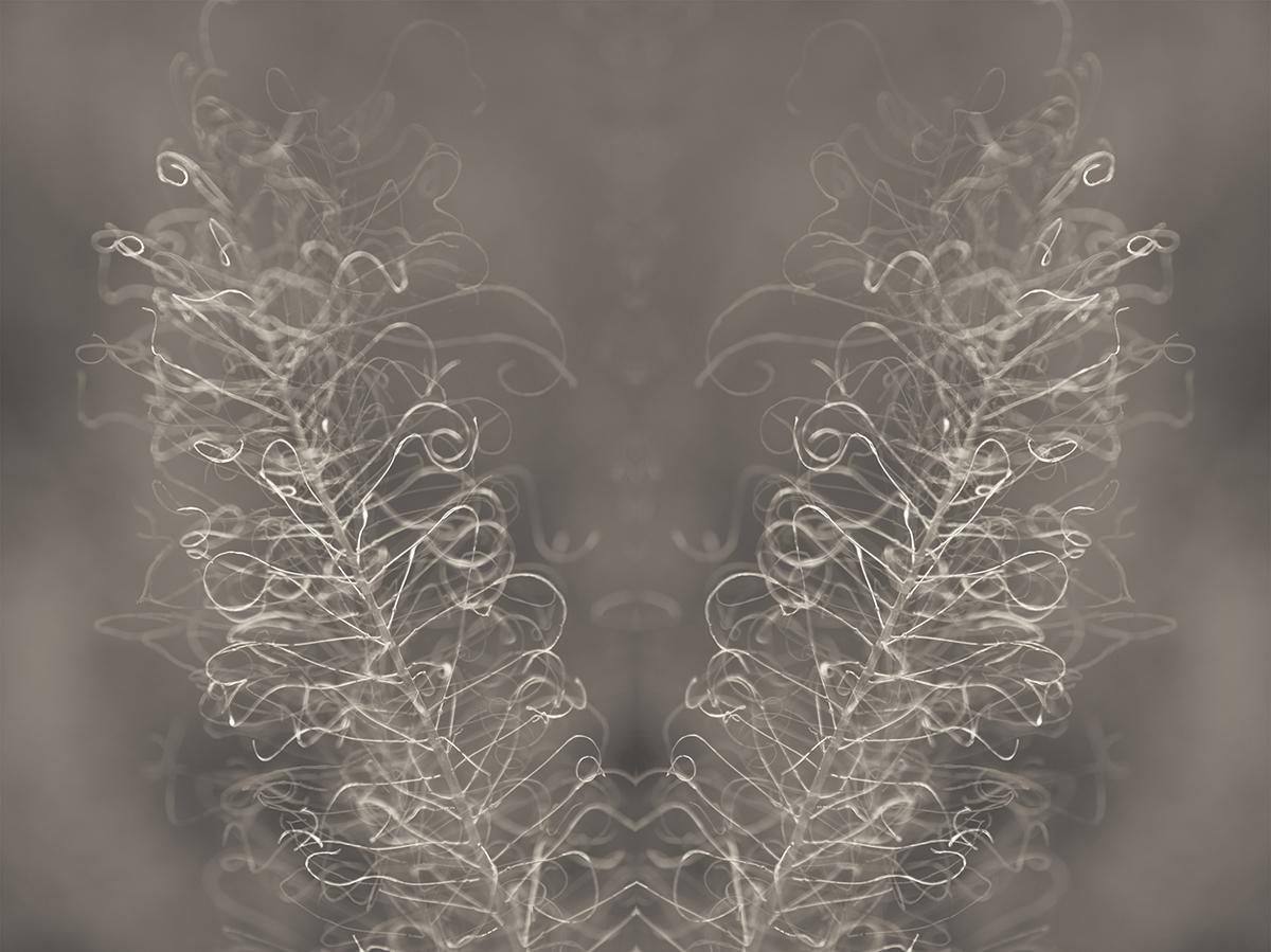 Modern Rorschach - image 11 - student project