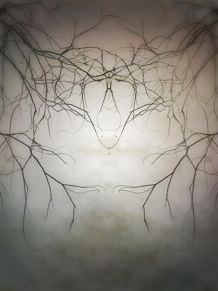 Modern Rorschach - image 7 - student project