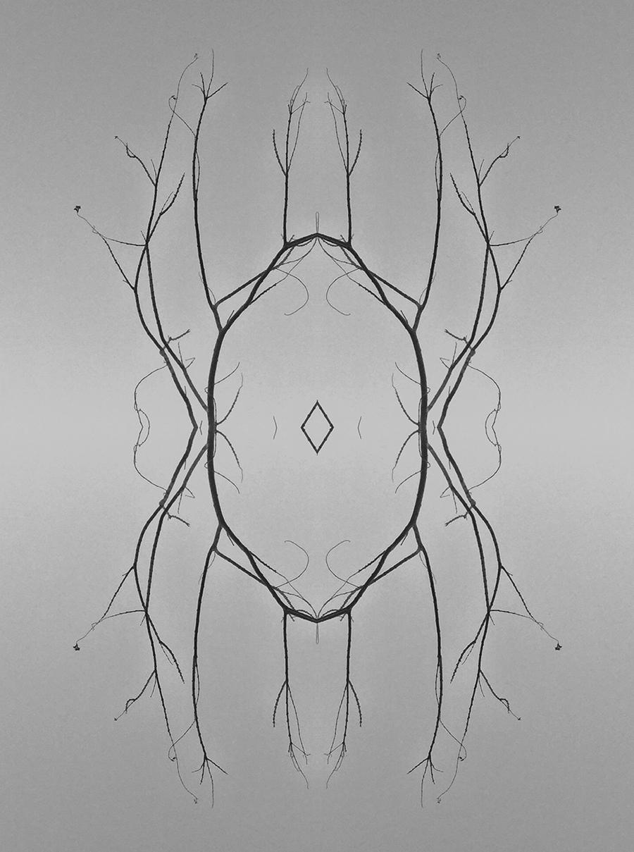 Modern Rorschach - image 8 - student project