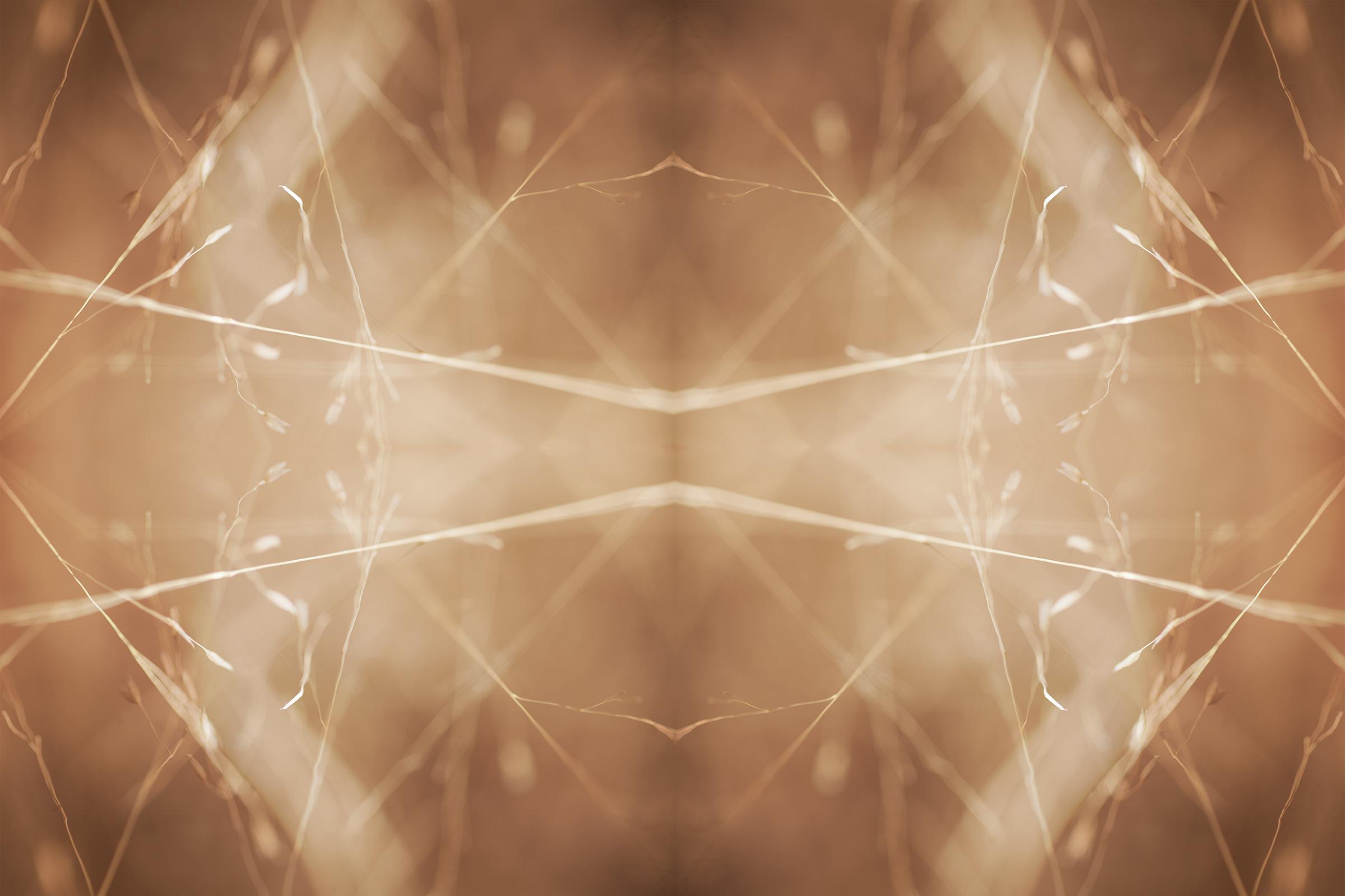 Modern Rorschach - image 14 - student project