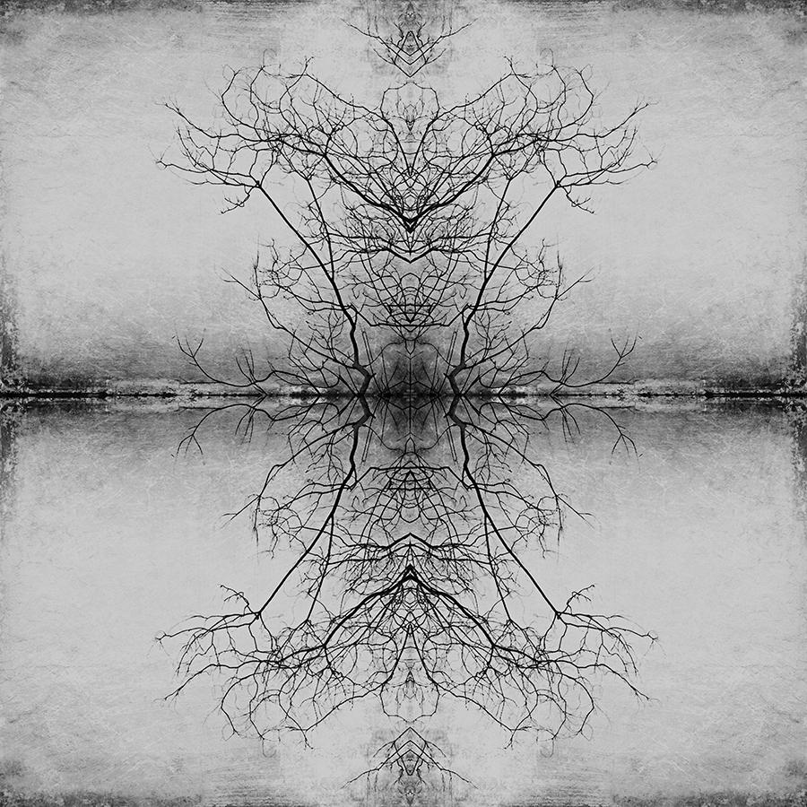 Modern Rorschach - image 1 - student project