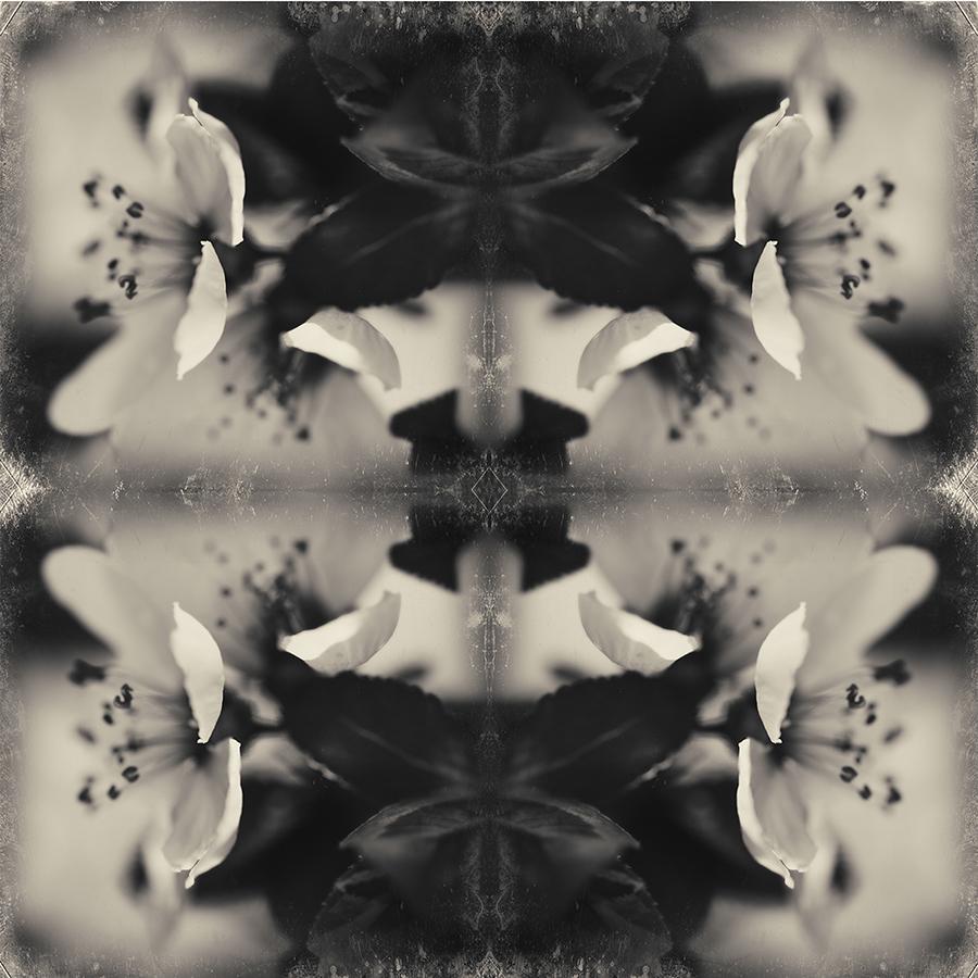 Modern Rorschach - image 3 - student project