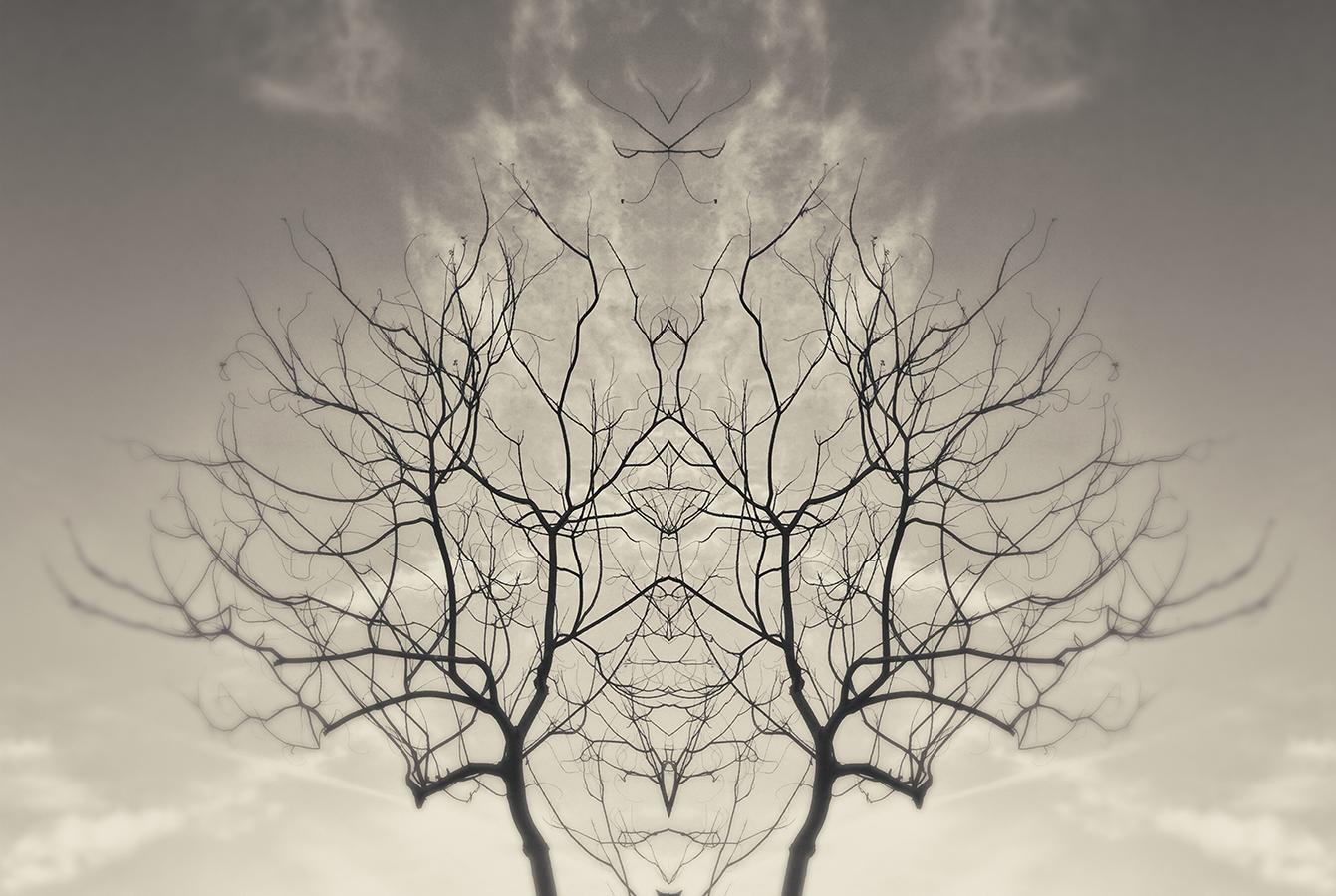 Modern Rorschach - image 9 - student project