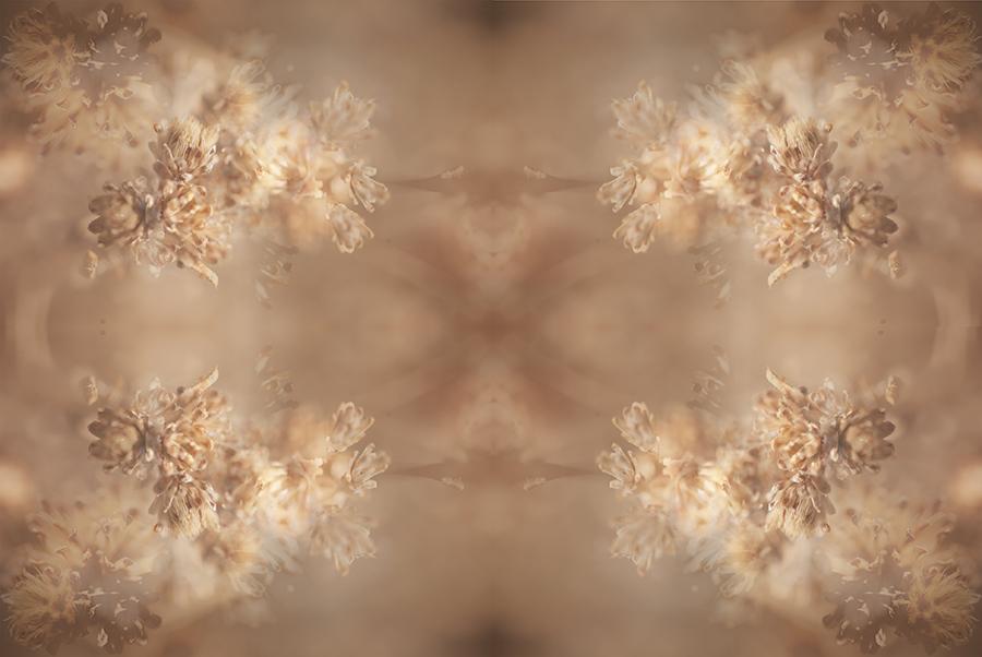 Modern Rorschach - image 13 - student project