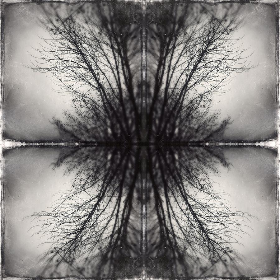 Modern Rorschach - image 2 - student project