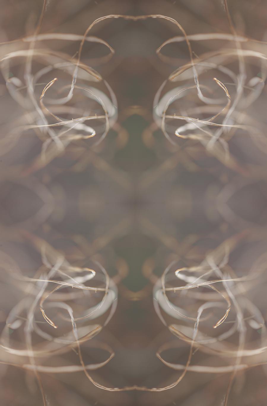 Modern Rorschach - image 12 - student project