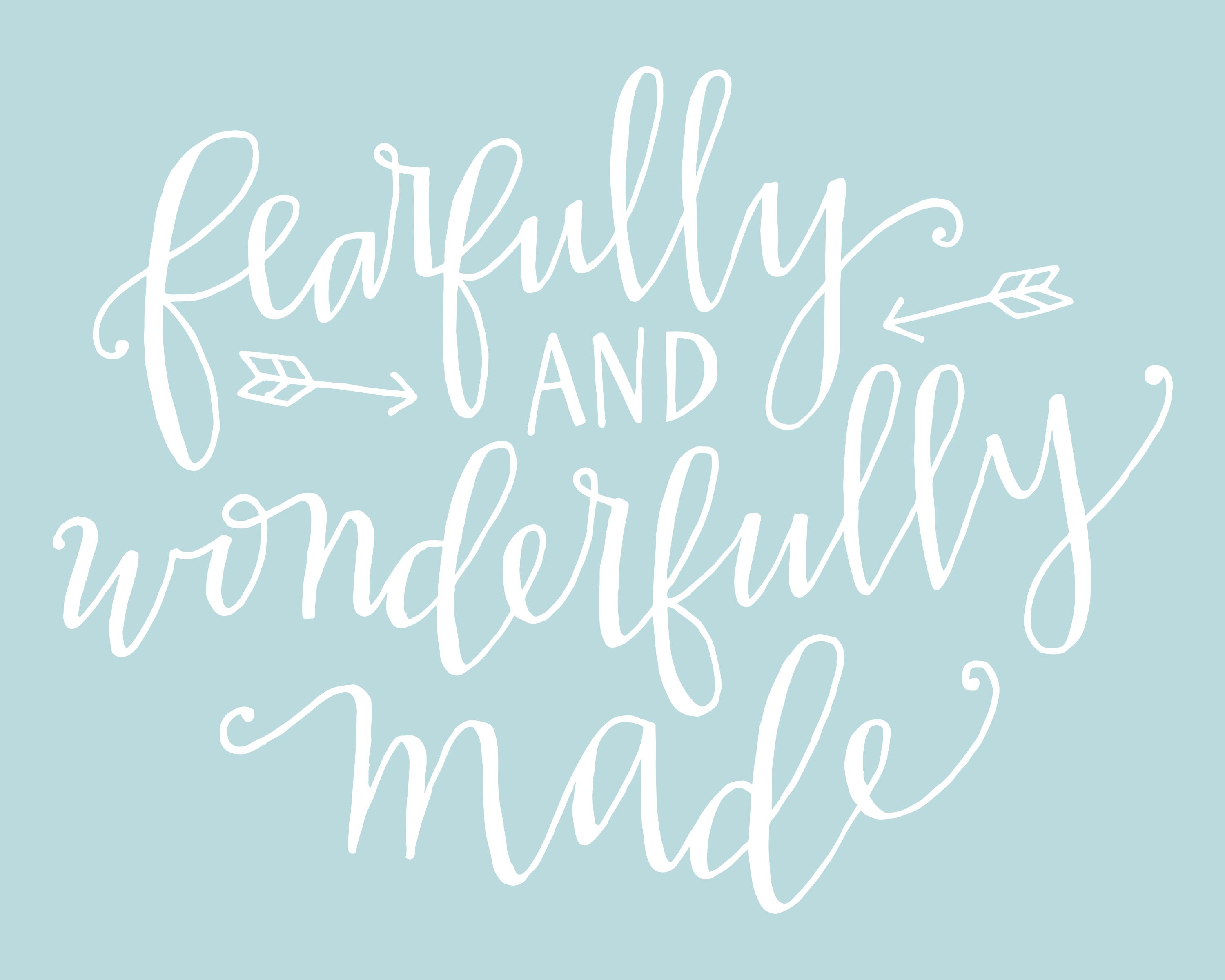 Practice Makes Progress - (Fearfully and Wonderfully Made) - image 9 - student project