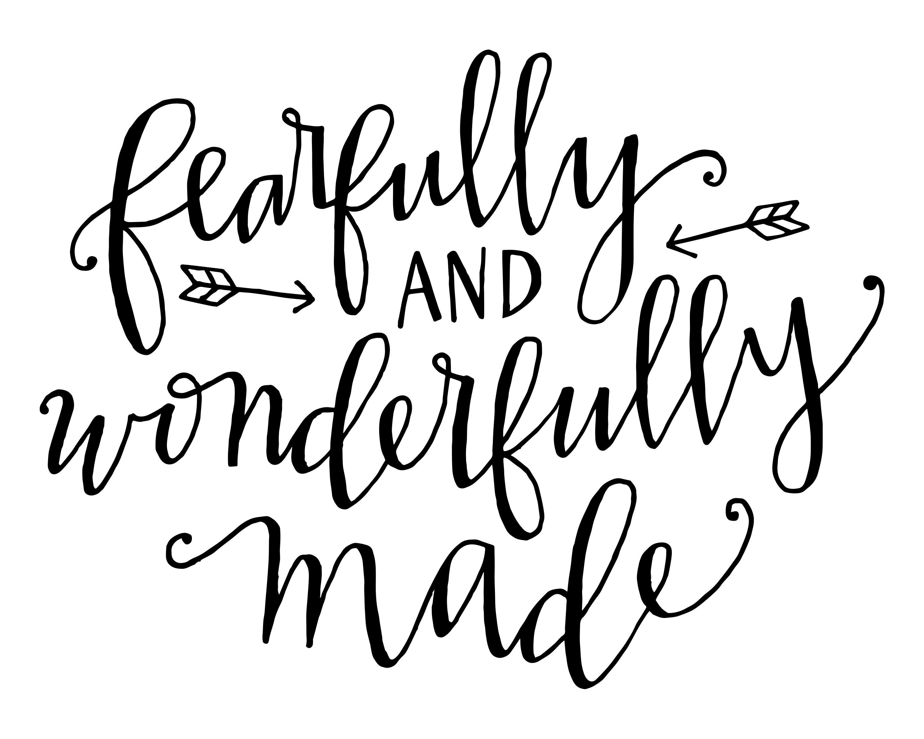 Practice Makes Progress - (Fearfully and Wonderfully Made) - image 8 - student project