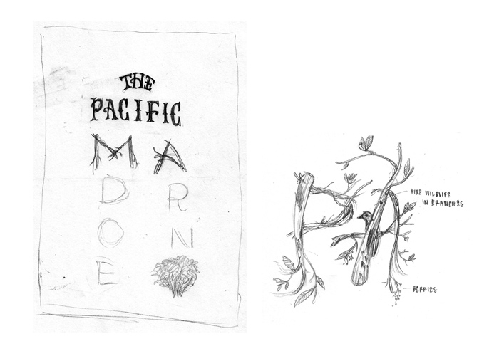 The Pacific Madrone - image 2 - student project