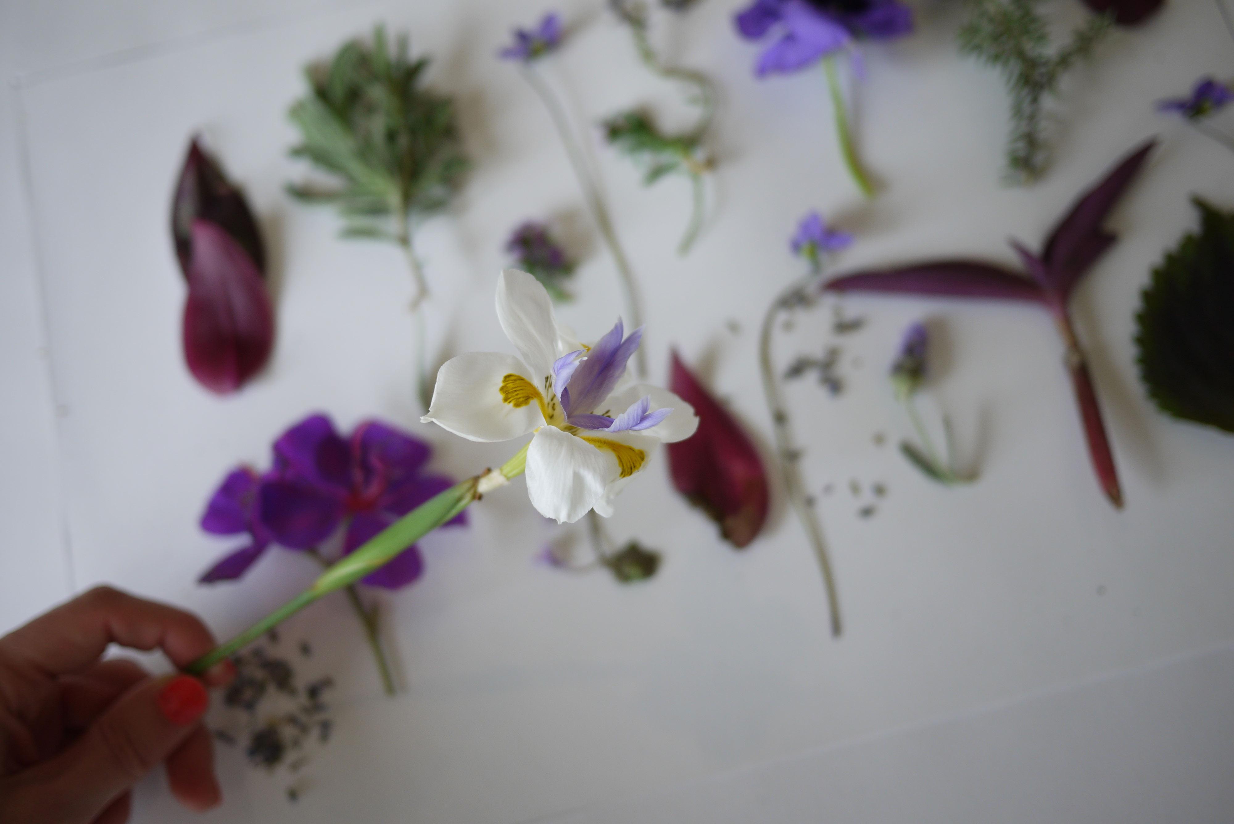 Purple Goodness - image 1 - student project