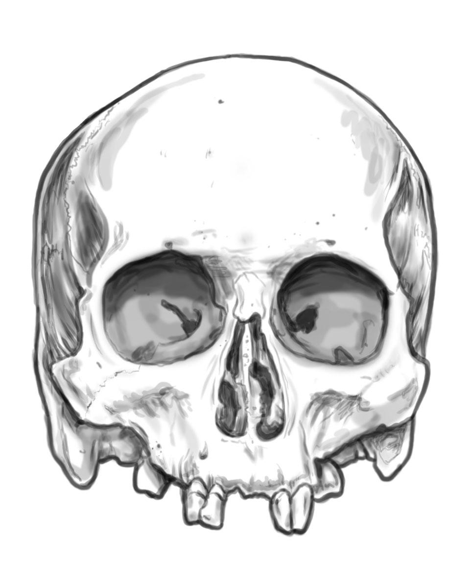 skully - image 3 - student project