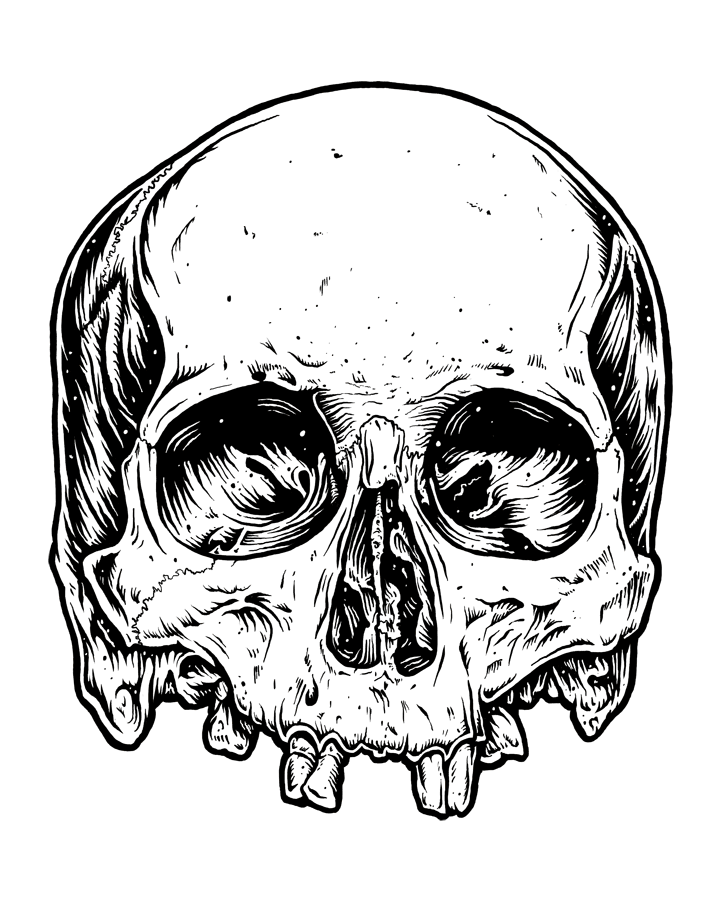 skully - image 1 - student project