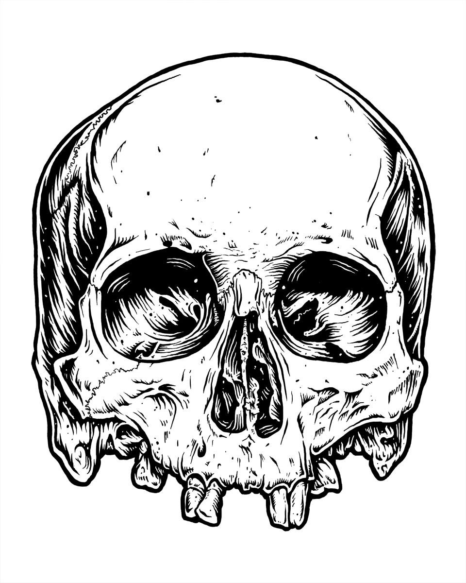 skully - image 2 - student project