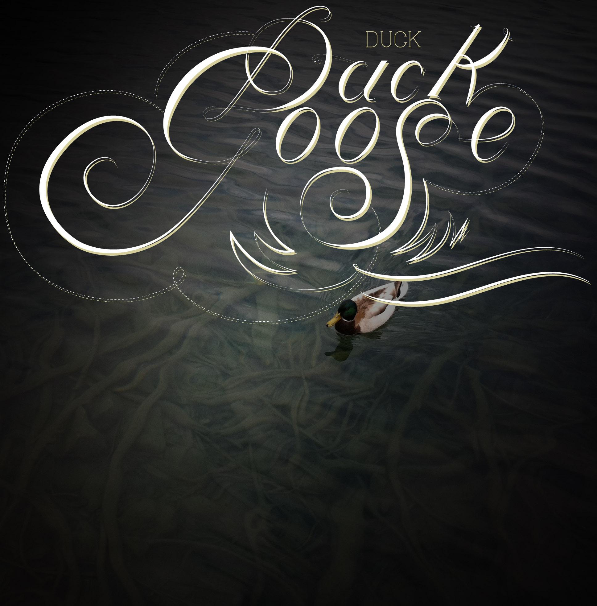 Duck + Goose - image 3 - student project