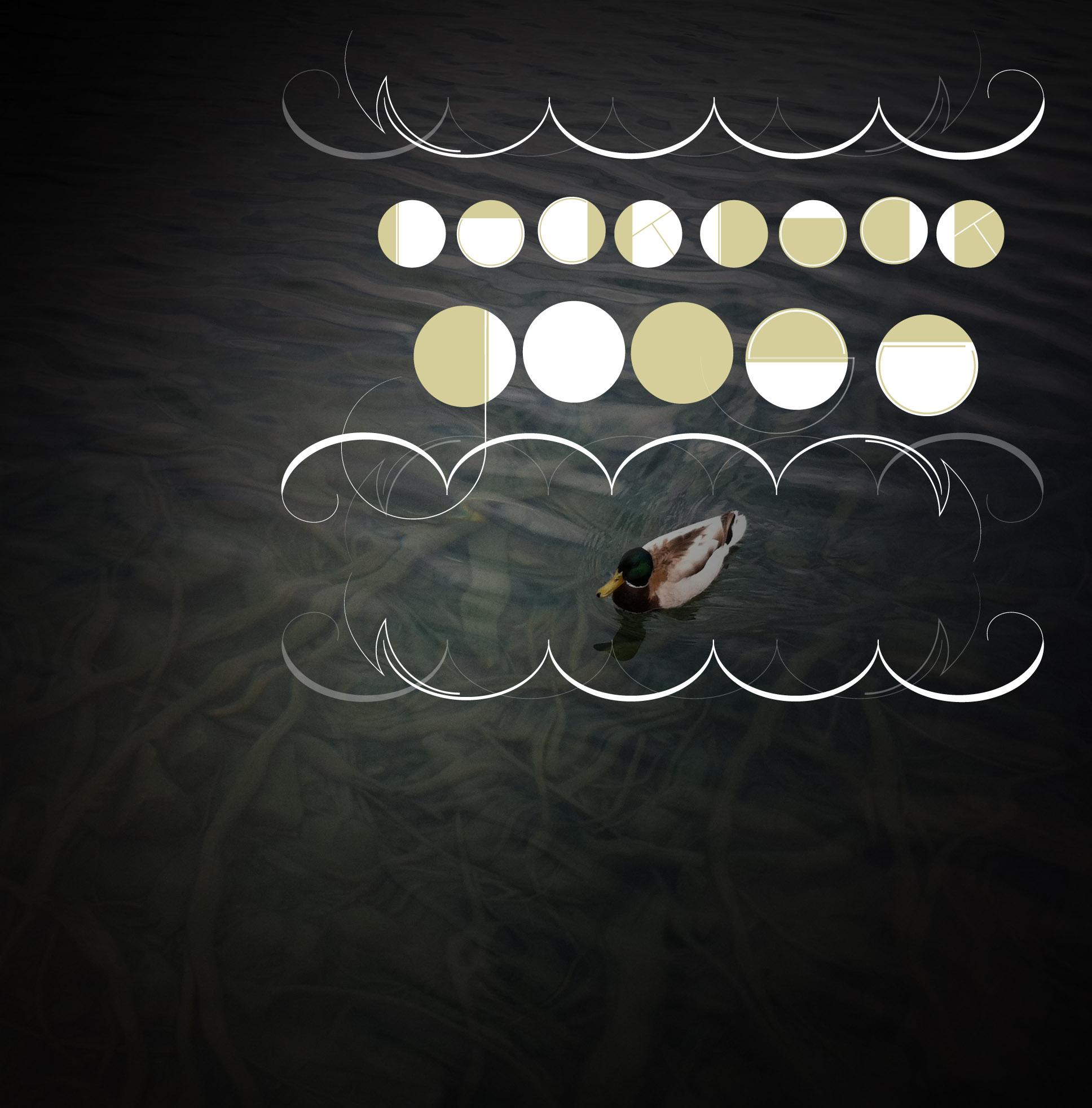 Duck + Goose - image 2 - student project