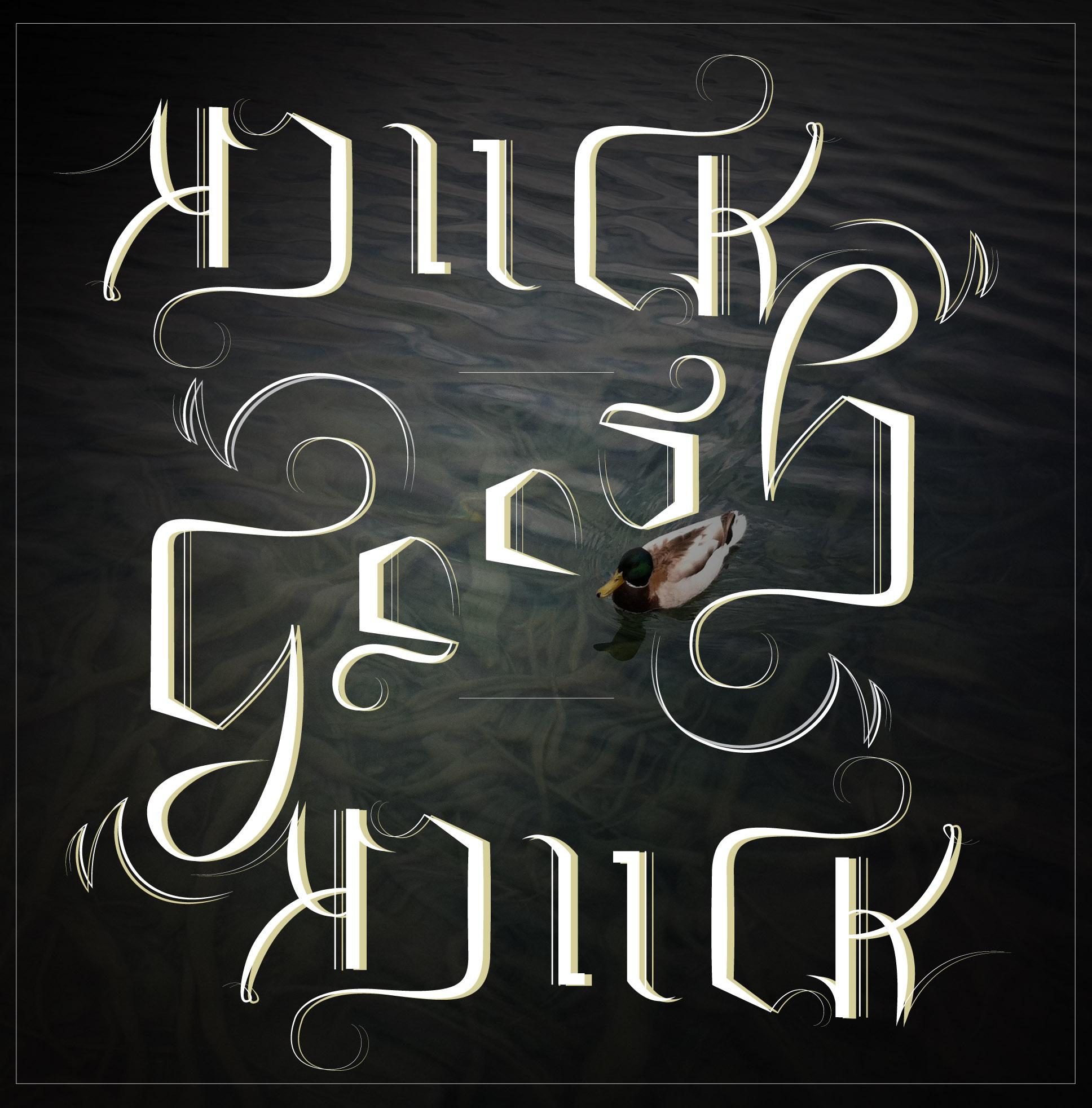 Duck + Goose - image 1 - student project