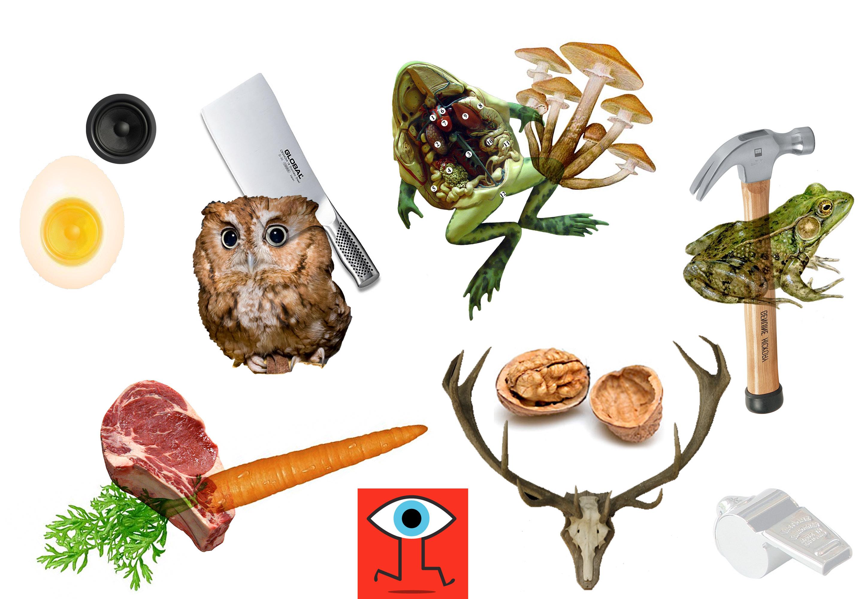 Meat eating vegetables - image 4 - student project