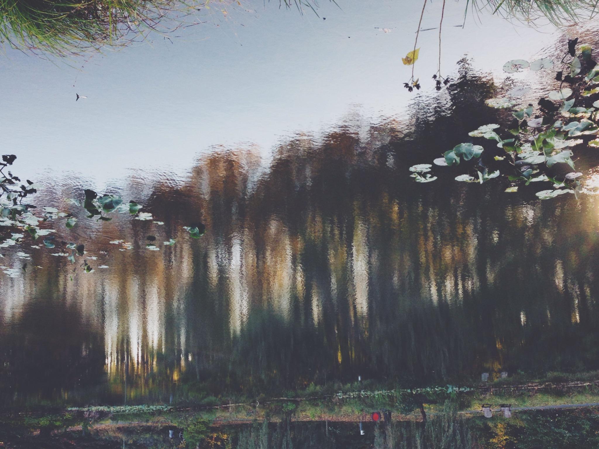 You are my Autumn  - image 4 - student project