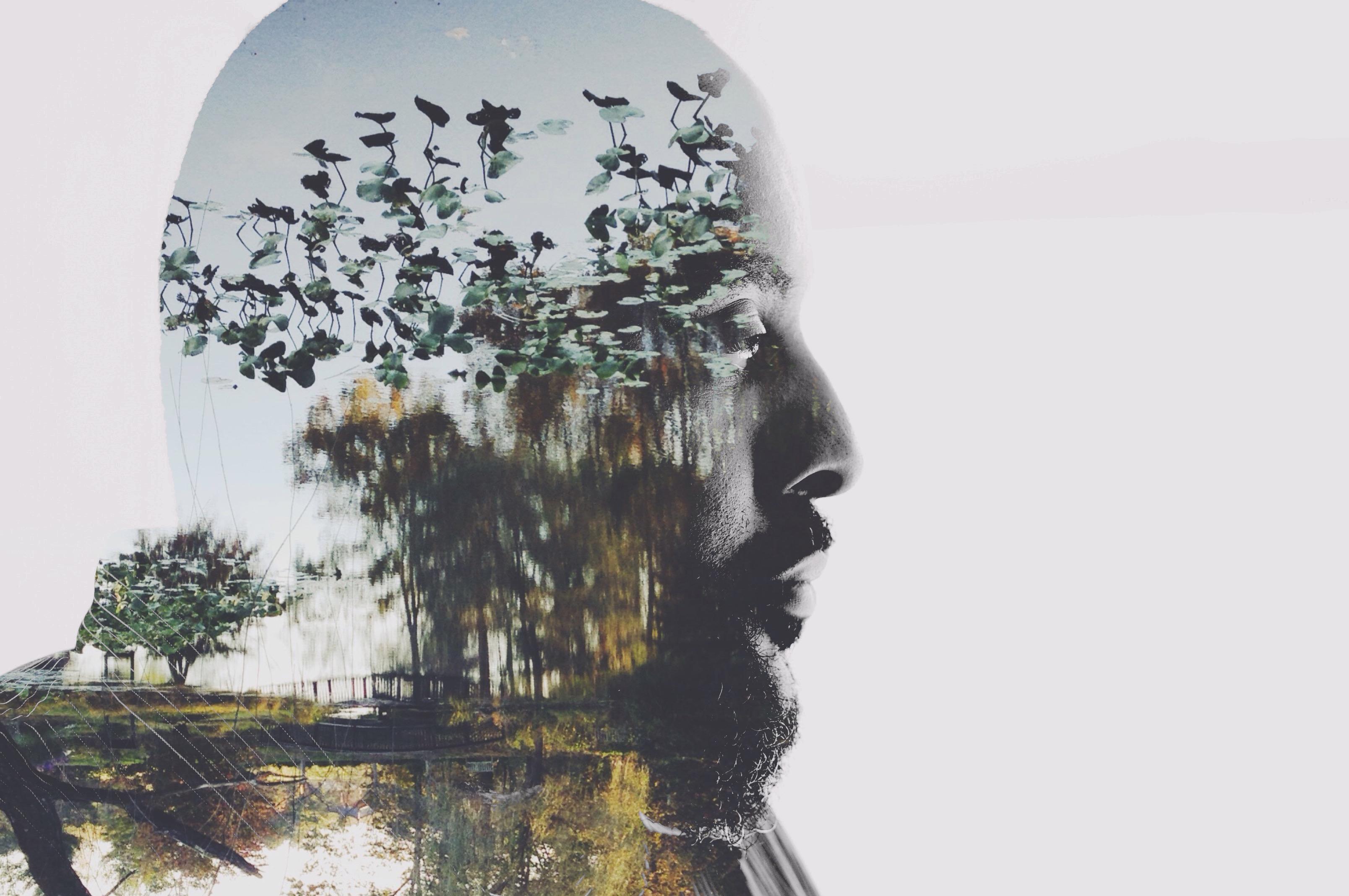 You are my Autumn  - image 6 - student project