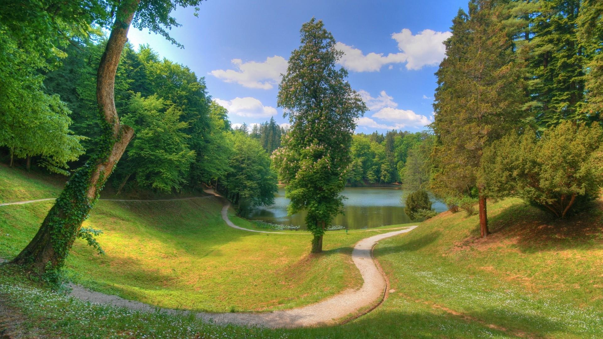 Lanscape - image 1 - student project