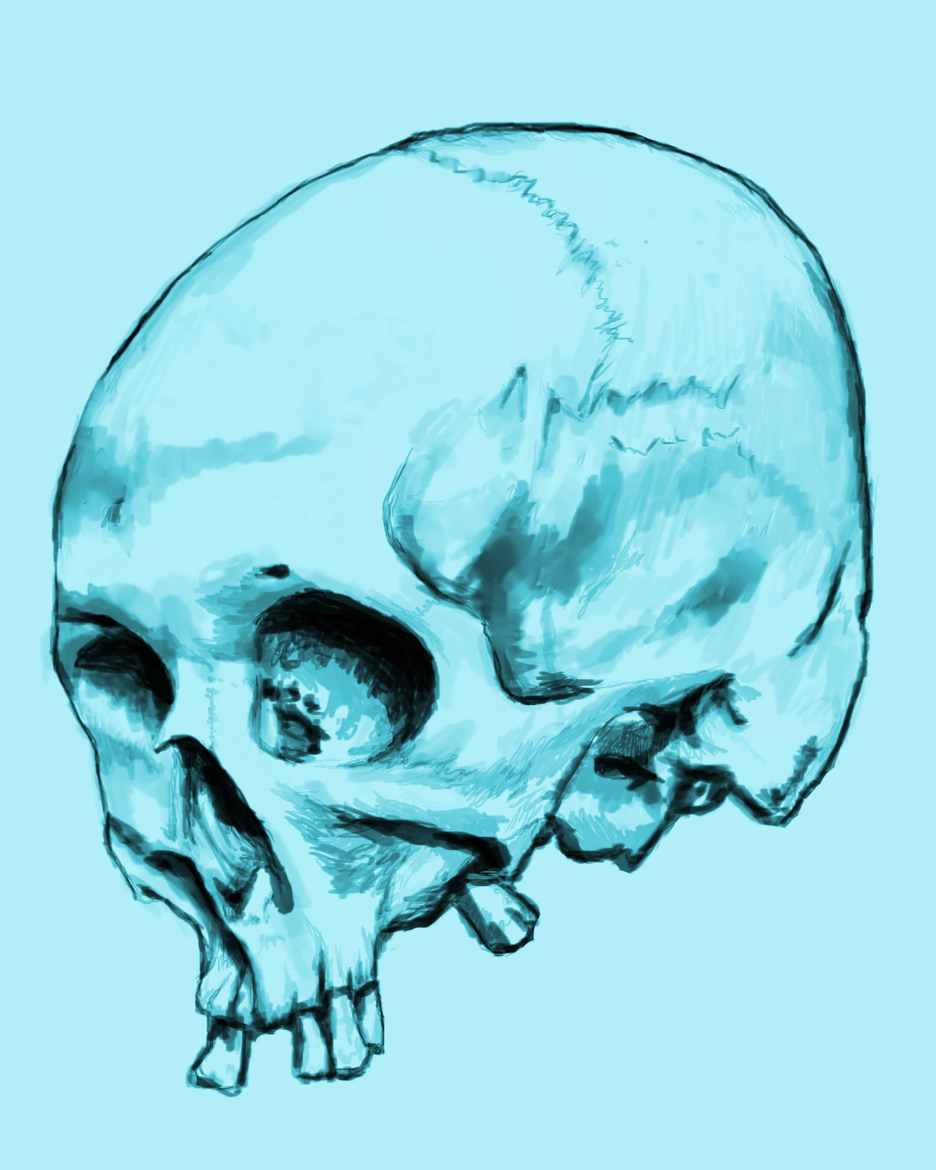 Skullchedelic - image 1 - student project