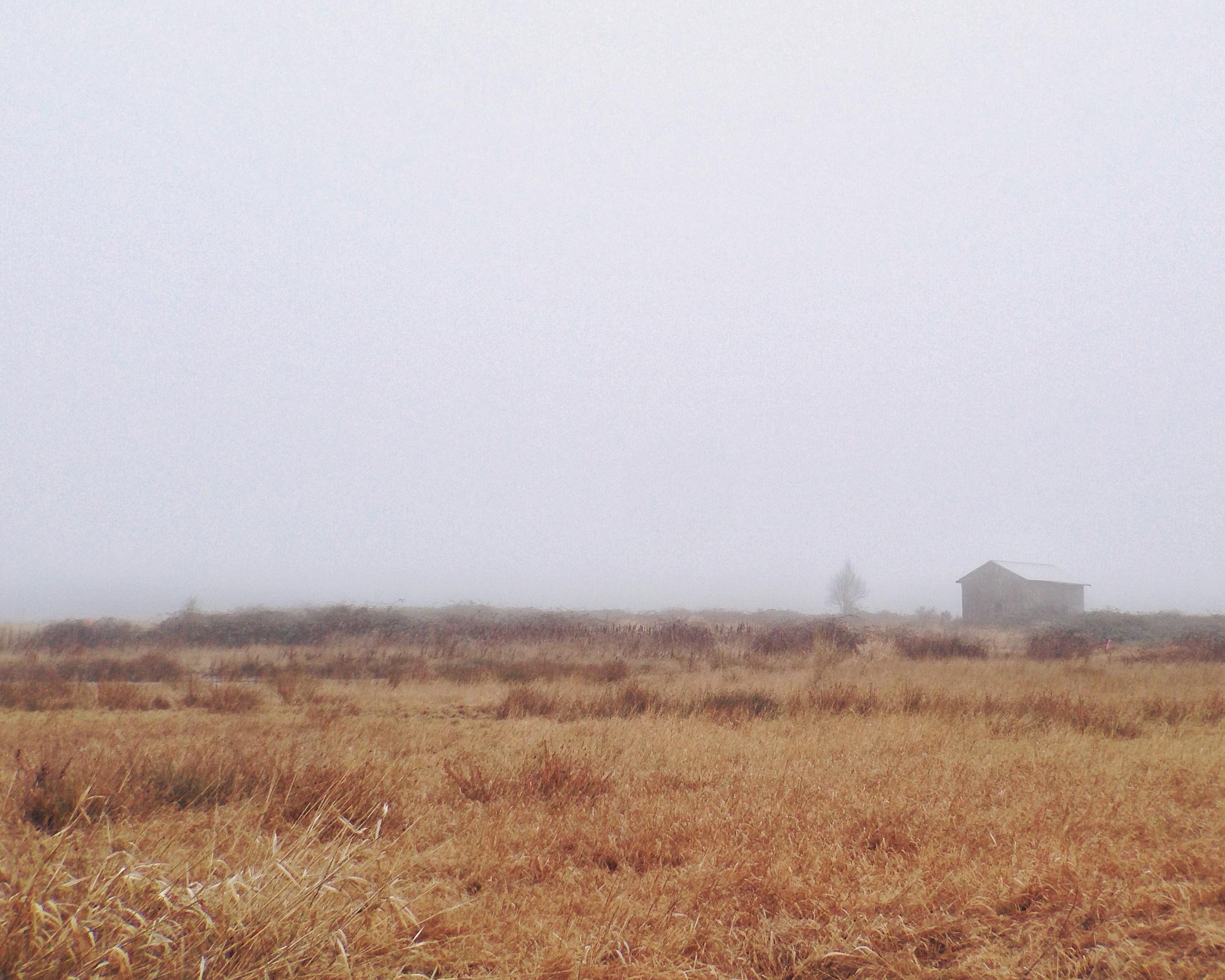 #Fogcouver (Vancouver Fog) - image 1 - student project