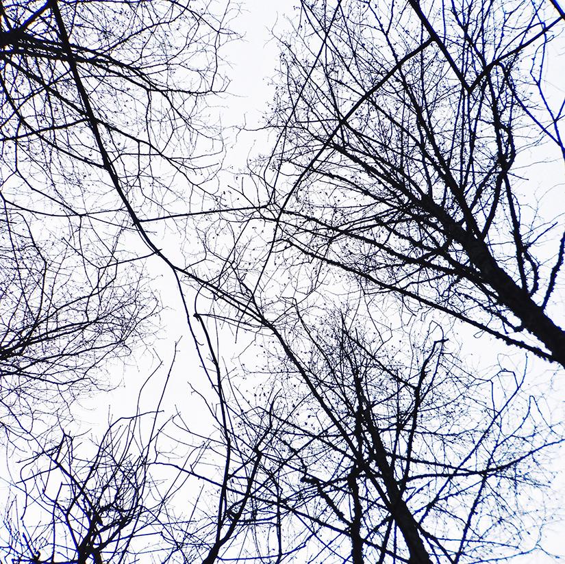 #Fogcouver (Vancouver Fog) - image 7 - student project