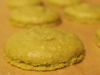 Disastrous my first macarons :( - image 4 - student project