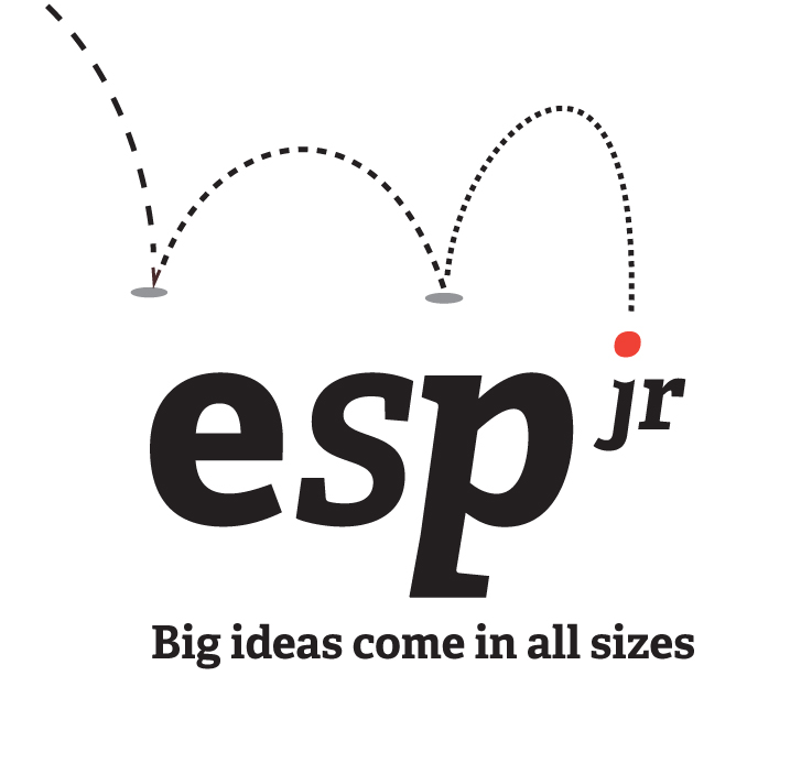 ESPjr is a startup specializing in Caribbean themed products for children. - image 4 - student project