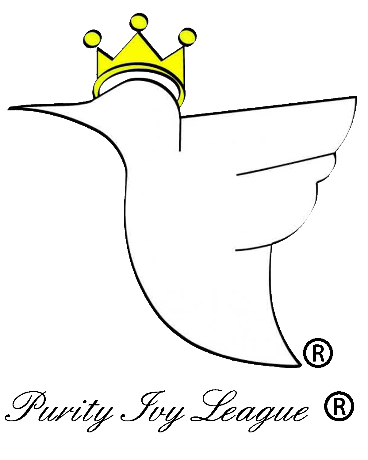 the hummingbird cycle | Skillshare Student Project