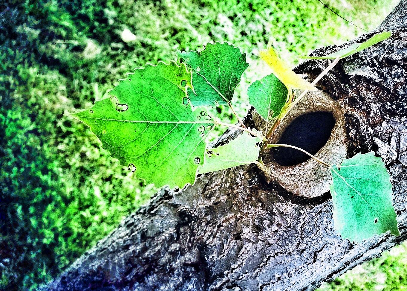 Week 2 - image 2 - student project