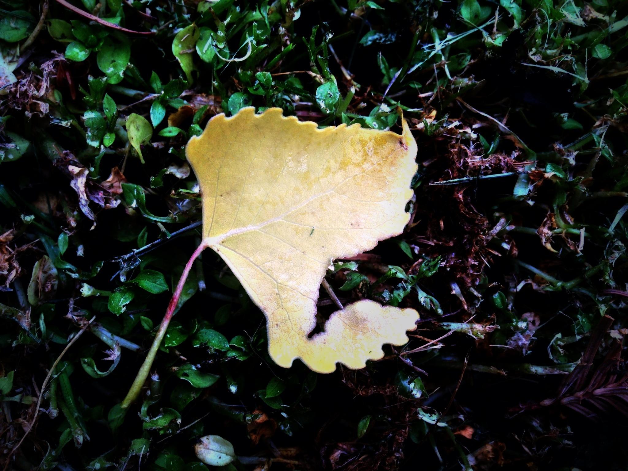 Week 2 - image 5 - student project