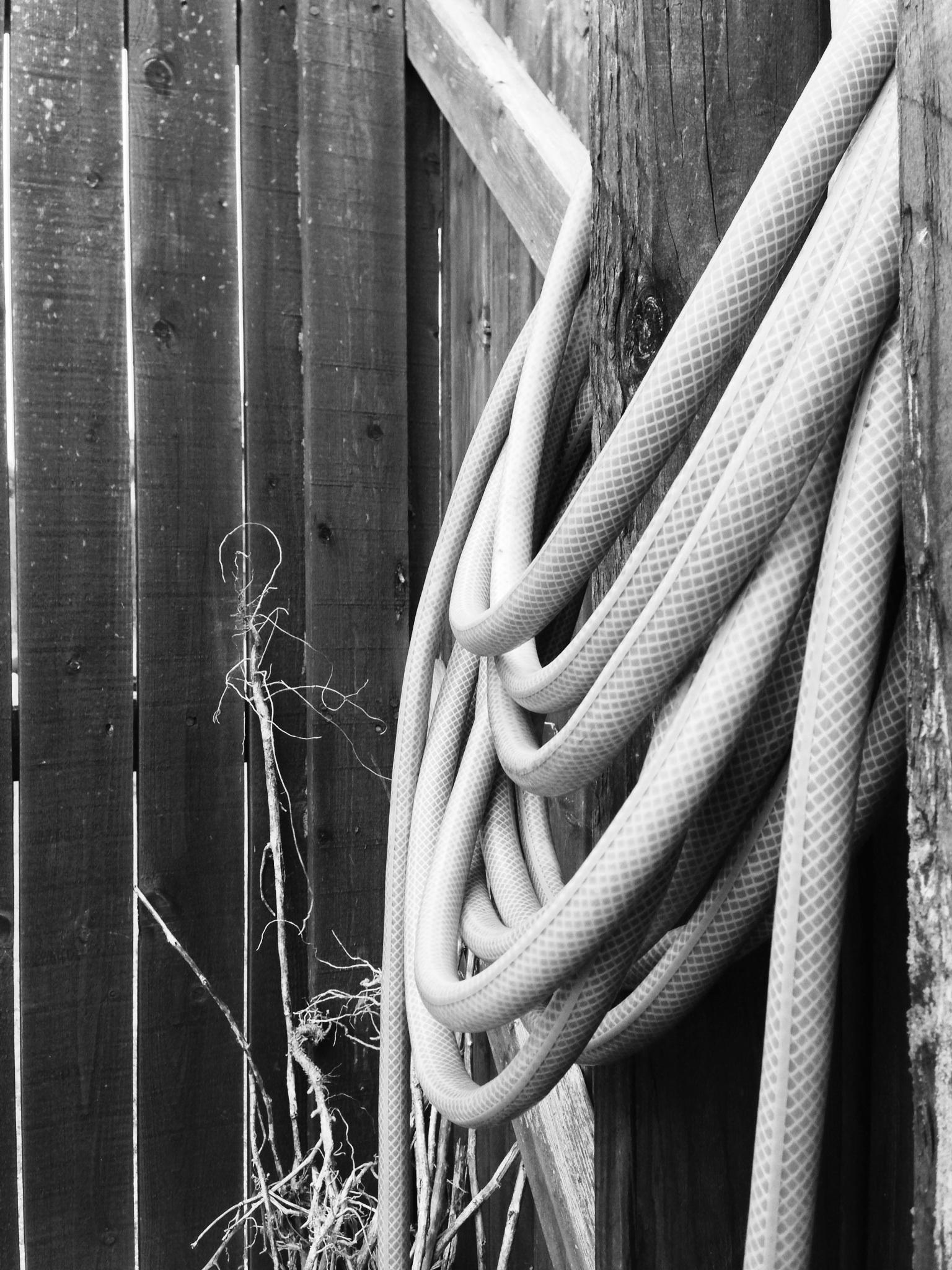 Week 2 - image 6 - student project