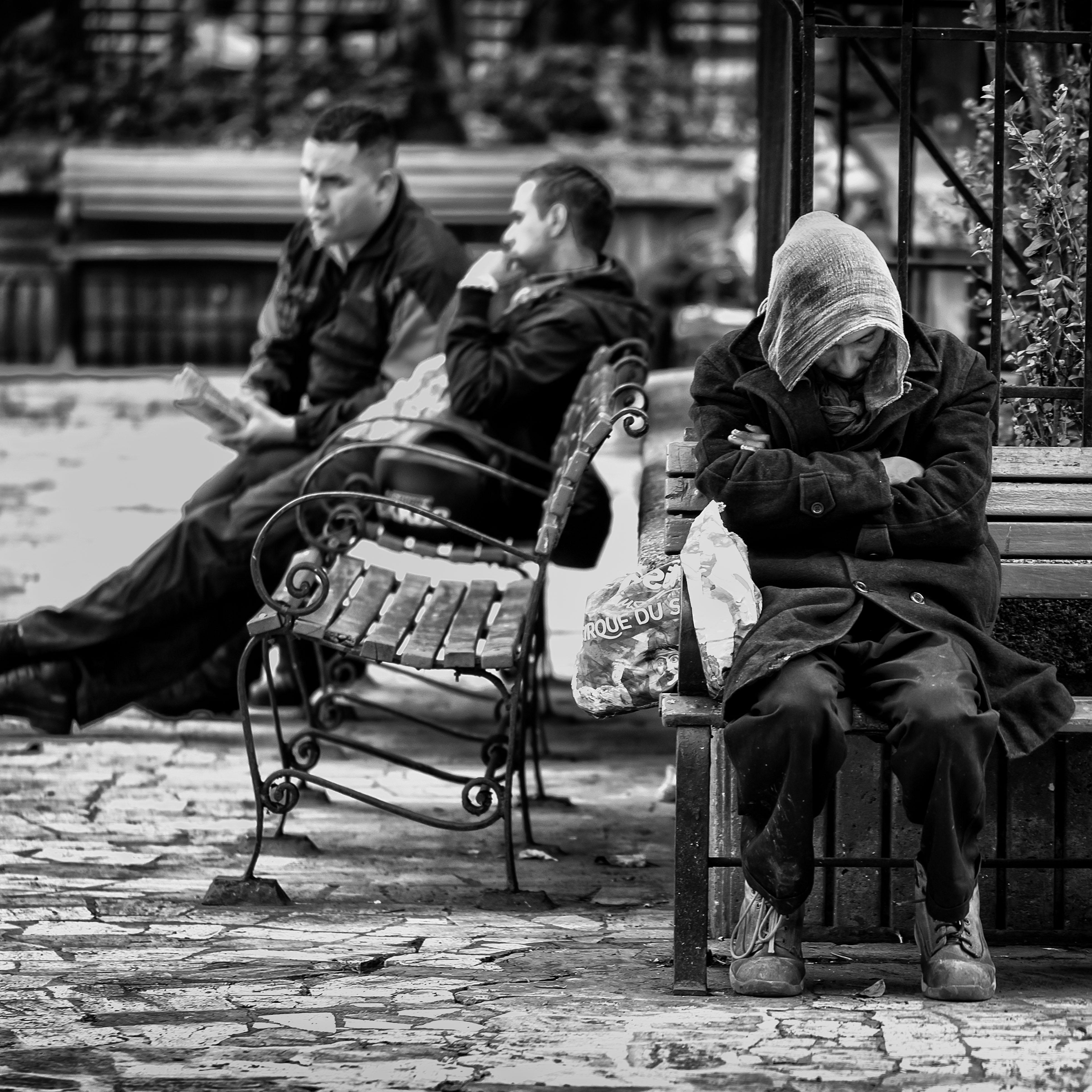 Morning in Parque Santander, Bogota - image 2 - student project