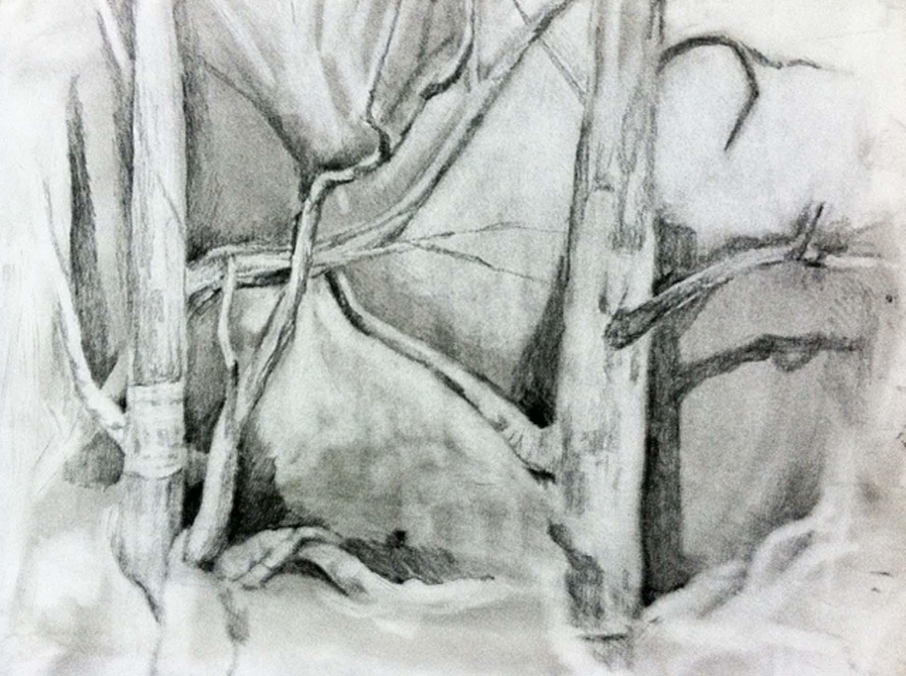 Silent Forest - image 4 - student project