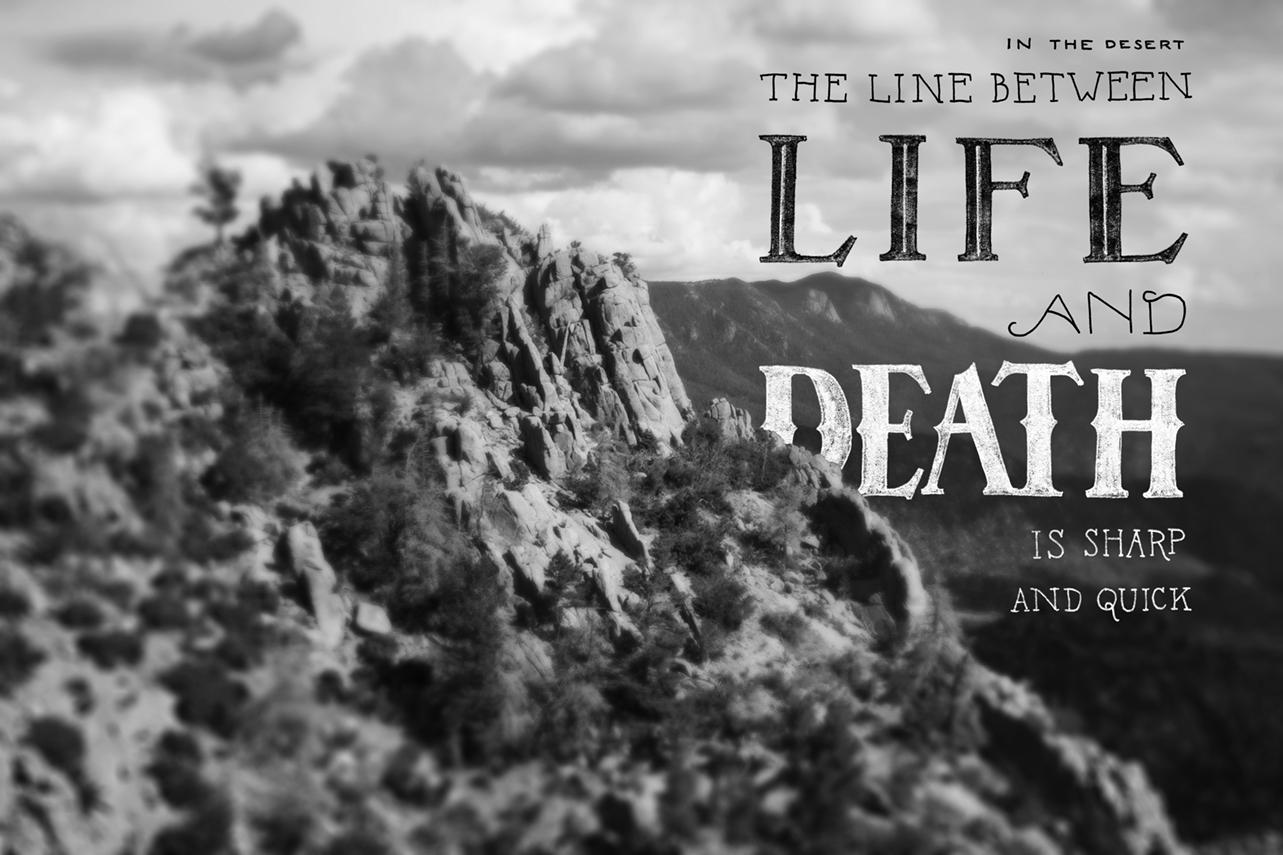In the desert, the line between life and death is sharp and quick. - image 1 - student project